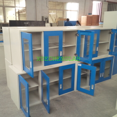 China Laboratory Hanging Cabinet with CE All Steel Wall Mounted Storage Cabinet for Lab School Office Home Use supplier