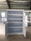 Factory Direct Sale  Polypropylene Chemical Storage Cabinet PP Lab Furniture Chemical Reagent Cupboard supplier