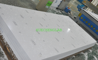 China PP Lab Furniture Use Porcelain White Laboratory Polypropylene Board 3000x1500x8mm supplier