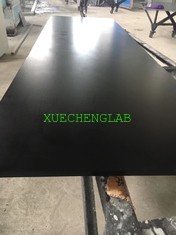China Lab Fittings Factory Direct Selling 16mm Epoxy Resin Board for Laboratory Countertop Use supplier