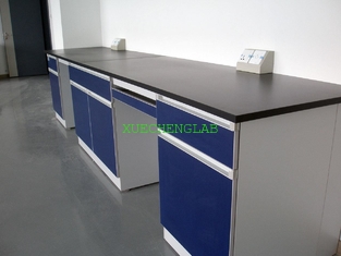 China Customizd Lab Bench Lab Table Chemical Side Table Steel Laboratory Wall Bench 4800x750x850mm supplier