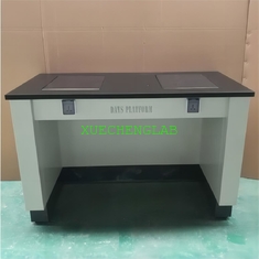 China Hot Sale All Steel Lab Anti-vibration Table Double-Person Laboratory Balance Bench supplier