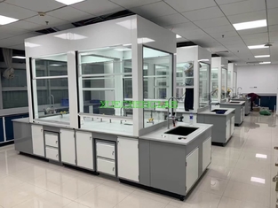 China CE Certificated Benchtop Type Lab Fume Cabinet Table Top All Steel Laboratory Fume Hood supplier