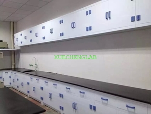 China Top Quality CE Certificated PP Lab Furniture Polypropylene Wall Bench 10 Feet Long Laboratory Side Table supplier