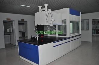 China CE certificated Benchtop Type Lab Fume Cabinet Table Top All Steel Laboratory Fume Hood supplier