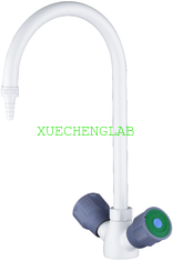 China Cheap Price Laboratory Mixed Assay Faucet Cold and Hot Water Tap for Lab Bench or Fume Hood Use supplier