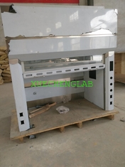 China Stainless Lab Furniture Cheap Price Stainless Steel Fume Cupboard 5 Feet Wide Laboratory Fume Hood supplier