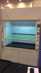 China CE Approved Lab Fume Hood Integrated Type Lab Fume Cupboard 4 Feet Wide All Steel Standard Laboratory Fuming Cabinet supplier