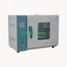 China Hot Sale Horizontal Air Blast Drying Plant Heat Treat Electric Oven Hot Air Circulating Laboratory Drying Oven supplier