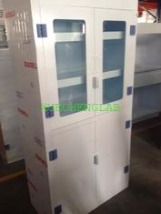 China Factory Direct Sale  Polypropylene Chemical Storage Cabinet PP Lab Furniture Chemical Reagent Cupboard supplier