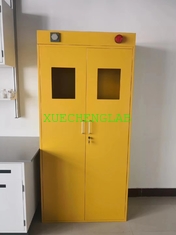 China Galvanized Steel Lab Storage Cabinet Laboratory Furniture Gas Cupboard Steel Gas Cylinder Cabinet 900x450x1800mm supplier