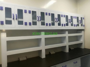China PP Lab Furniture Wall Cabinet Chemical Laboratory Wall Cupboard Polypropylene Hanging Cupboard supplier