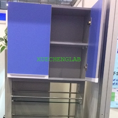 China All Wooden Lab Hanging Cupboard Wood Wall Mounted Cabinet for Hospital School Institue Office Home Use supplier