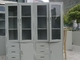 Lab Document Storage Cabinet All Steel File Ciupboard for Laboratory School Office Institute Use supplier