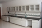 Customizd Lab Bench Lab Table Chemical Side Table Steel Laboratory Wall Bench 4800x750x850mm supplier