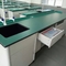 Aluminum Wood Structure School Laboratory Furniture Science Lab Bench Biology Laboratory Table supplier