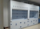 Hot Sale PP Fume Cabinet Lab Furniture Low Cost Standard Fuming Cupboard CE Approved Polypropylene Laboratory Fume Hood supplier