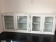 Laboratory Hanging Cabinet Lab Storage Cabinet with CE Wall Cupboard Steel Wall Cabinet for Lab School Office Home Use supplier