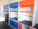 CE Approved All Steel Laboratory Fume Cupboard Integral Design Standard Type Fume Hood supplier