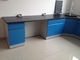 Direct Factory Price Lab Bench Lab Table 7200mm Long Steel Lab Table Side Lab Bench Laboratory Wall Bench supplier